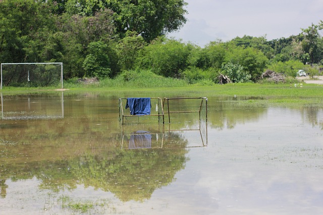 假消息影响 假消息影响