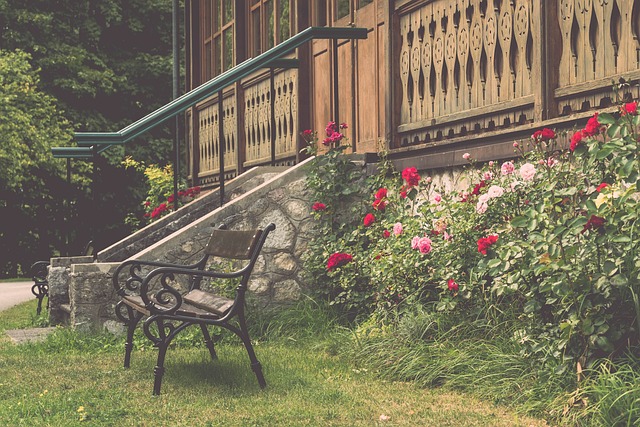 球队的整体 球队的整体