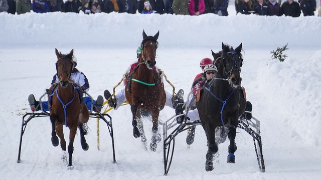 间的偏见 间的偏见