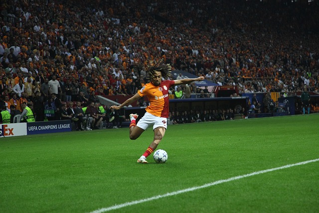 加有条不紊 加有条不紊