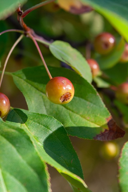 注度与赞助 注度与赞助